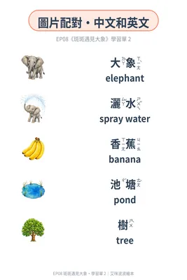 學習單 2：圖文配對（中英）